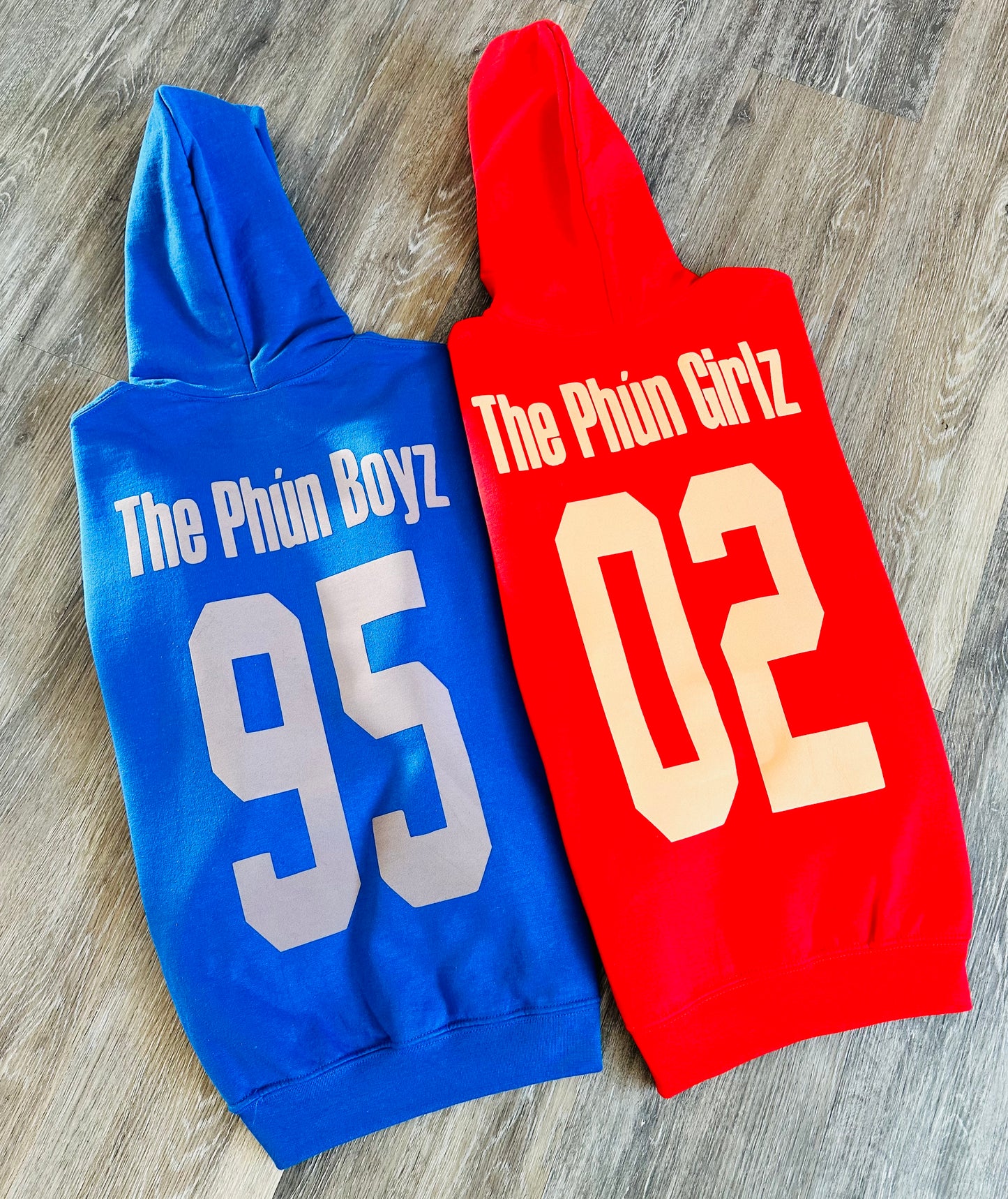 Intro: The Phun (Fun) Boyz Hoodie